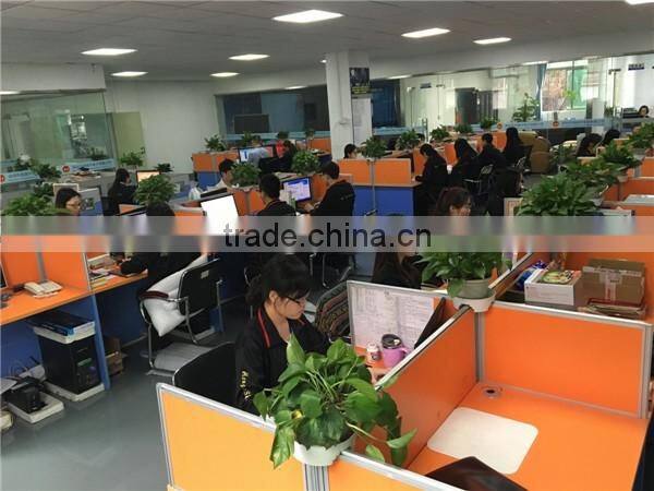 Portable Lithium Battery 48V 25AH Electric Bicycle 48V Lithium Battery with Samsung Cell