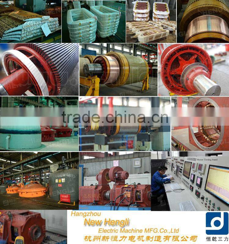 china top ten selling products industrial sewing machine electric water pump motor screw conveyor