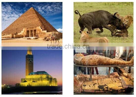 Fashion dress by MSK shipping, from China to Sfax ---AIMEE