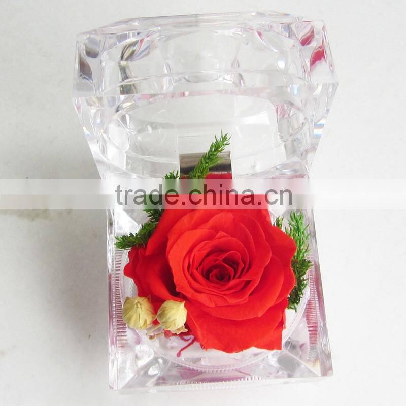 2016 Yiwu Aimee wholesale Valentine's Day gift import preserved fresh cut flower(AM-PF04)