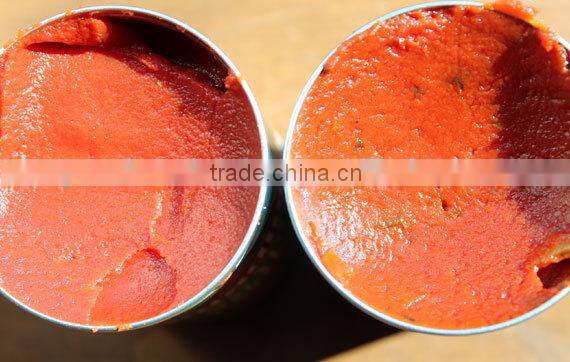 canned tomato paste Tomato Puree Tomato Ketchup tomato paste in drums