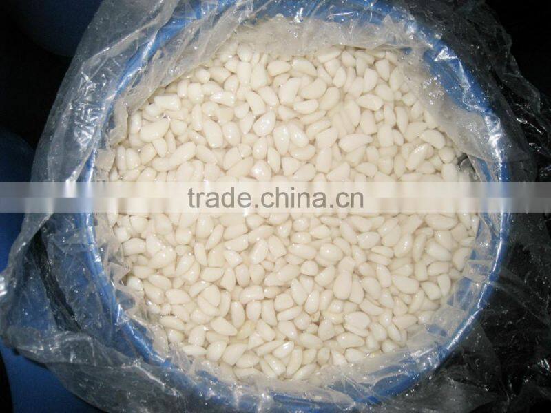 Salted garlic in brine 250-350