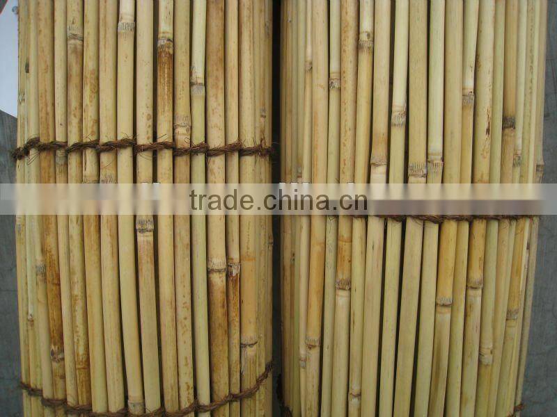 reed fence