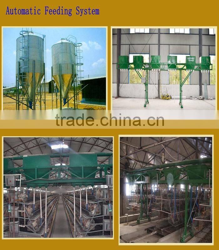 produced by professional manufacturer auto broiler chicken cage