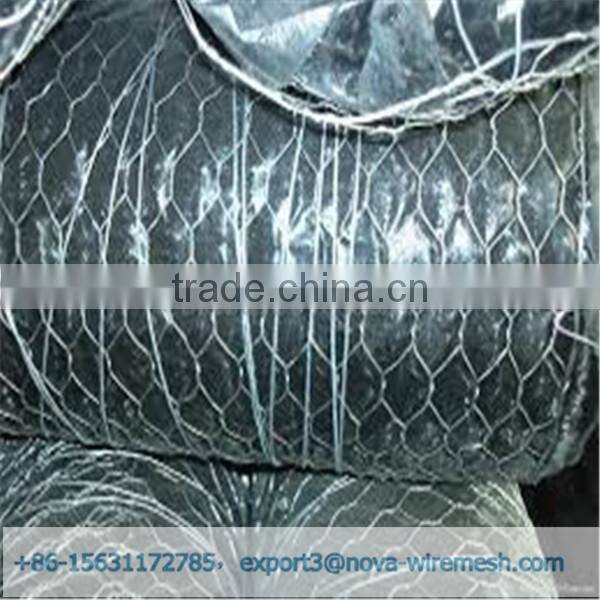 Low cost hexagonal netting /chicken wire mesh/ poultry hexagonal netting for sale