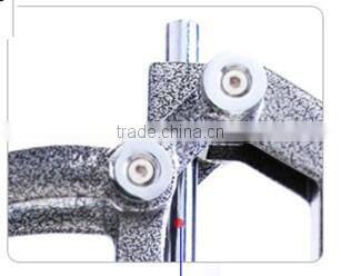 stand style Pomegranate juice