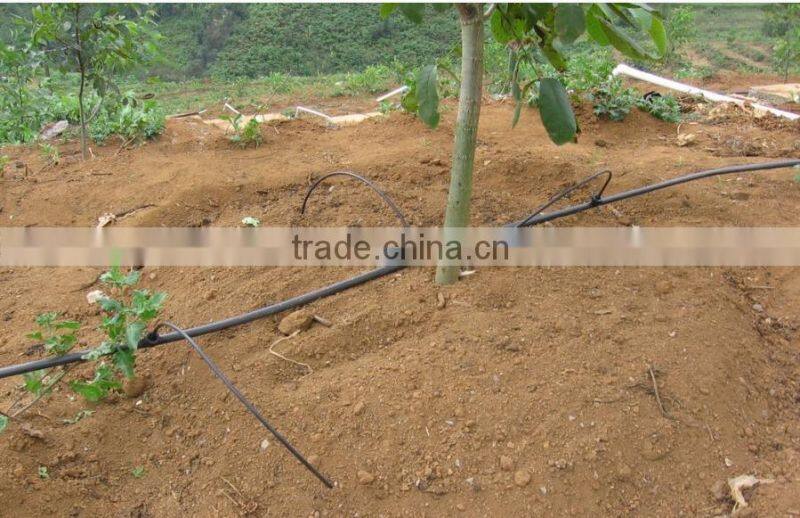 Fruit tree irrigation system