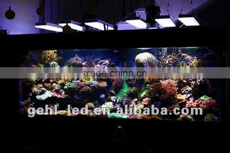 150w full spectrum aquatic feeding led lighting