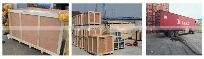 French Baguettes molder bread molder