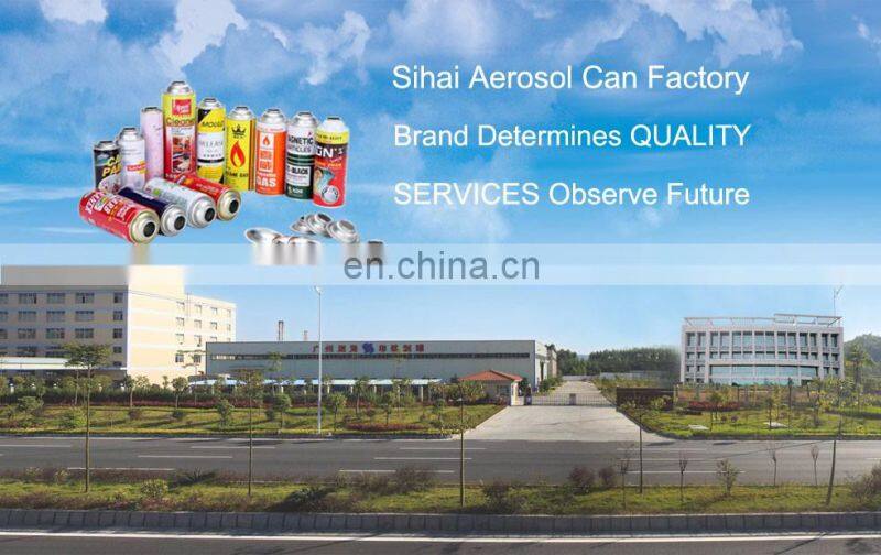 Diameter 65mm Straight Wall Printing Empty Aerosol Metal Can for Mold Cleaner 400ml