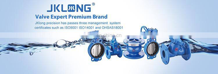 Cast Iron Gate Valve Industrial Flanged Type Brass Water Meter Iron Gate Valve with Low Prices