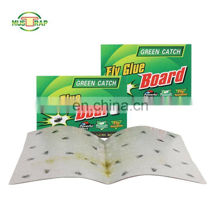 Fly Glue Paper Fly Trap Venus Fly Trap