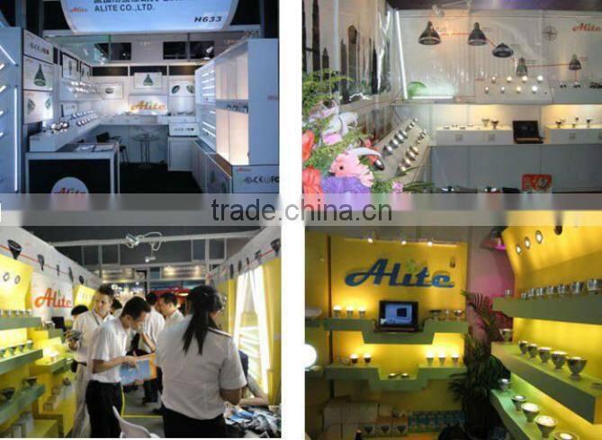 Europe market 12w par30 led lightings spotlight ce rohs ul