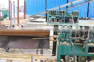 High Quality Disposable Bamboo Fruit Cocktail Picks