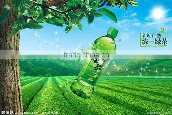 Green Tea Powder for tea drinks