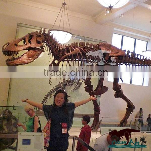 OA6177 Museum Exhibition Dinosaur Skeleton Replicas Model