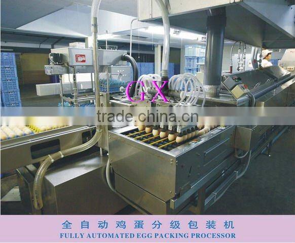 Full-Auto Egg Packing Processor