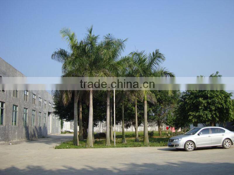 alibaba china supplier Sanitary ware ceramic two piece toilet Y927