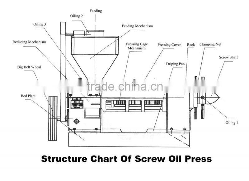 20 tons daily capacity sunflower seed oil press factory