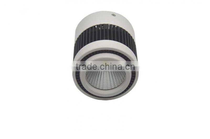 Surface Mounted 20W Hot Sale Cob Led Downlight TEC002CD20WSM2