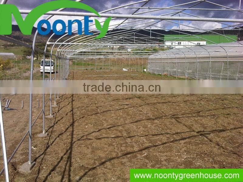 Greenhouse for Vegetable