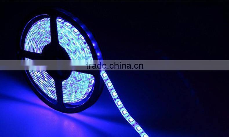 5metrs 5050 60led 14.4w 12v IP65 waterproof LED stripes