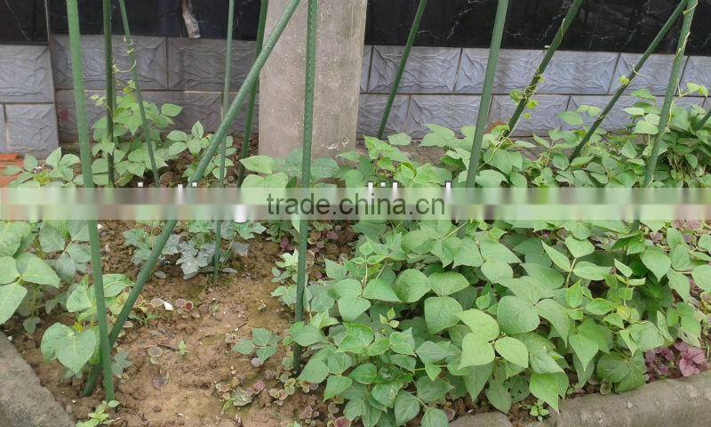 garden plants shelves