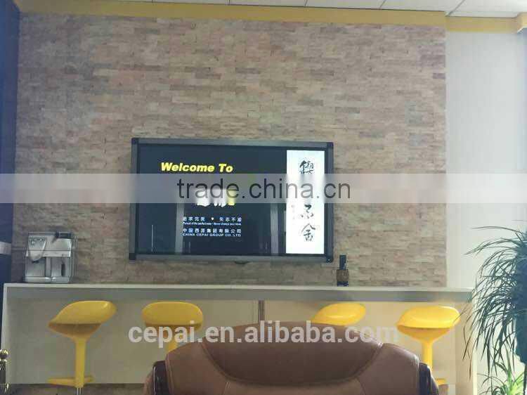 D501/7D Explosive-proof pressure controller