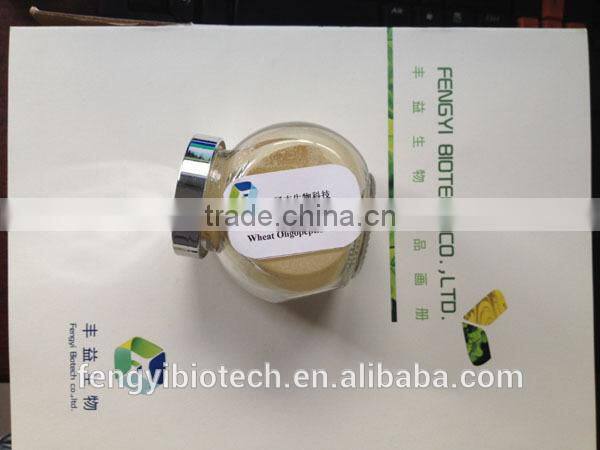 natural wheat peptide powder applied in cosmetic