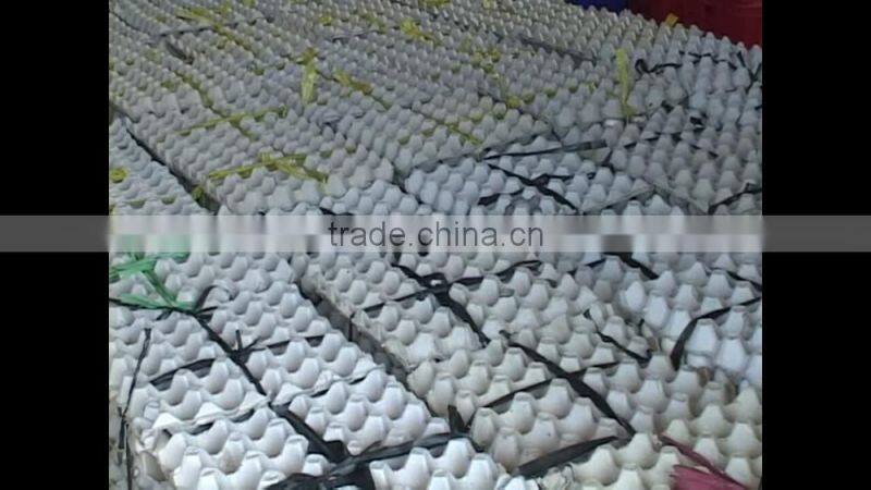 FRESH BROWN CHICKEN EGGS