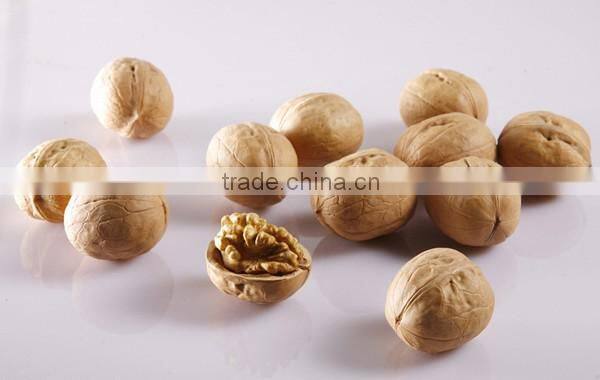 Wholesale Chinese Walnut kernel with marketing price for eating