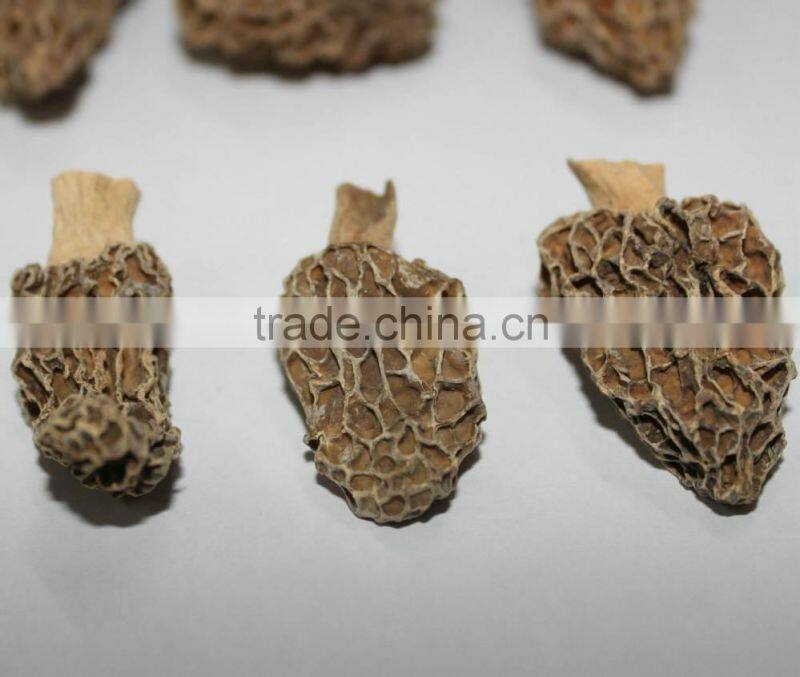 100% Real Wild Whole Dried Toadstool/ Morchella/ Morel Mushroom
