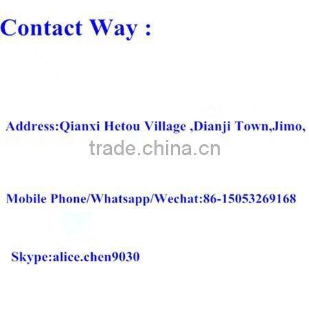 shandong blanched peanut kernel 35/39