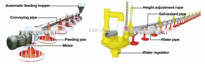 TA NO.1 Factory 3 tiers 120 birds h type broiler chicken cage