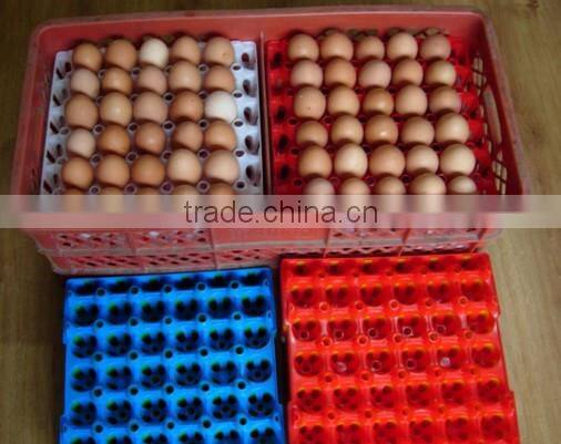cheap price 30 eggs tray for market