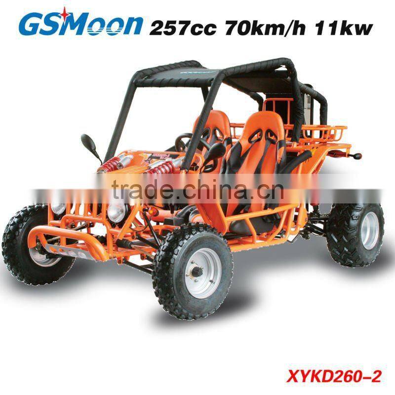 powerfull 250cc go kart with C.V.T system