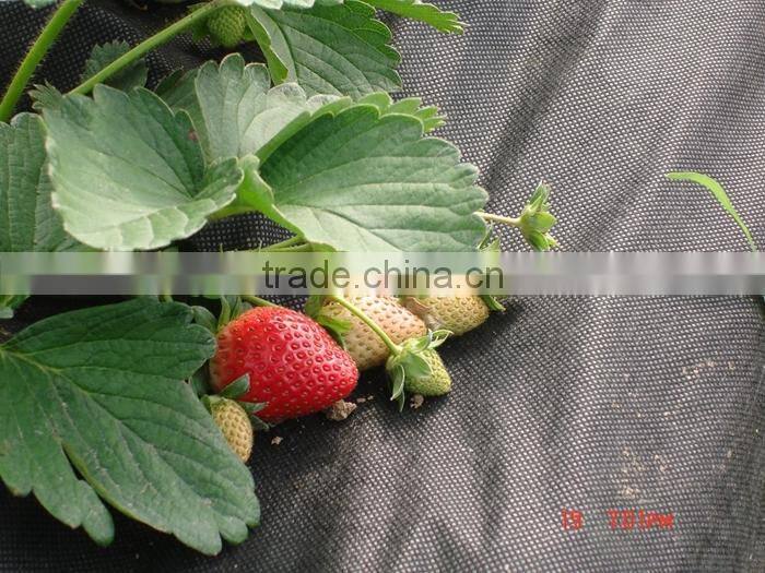 High Strength Garden Mat Erosion Control Plant Covers for Winter