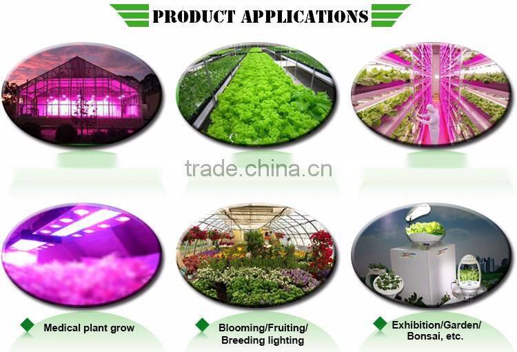 Online shopping grow tent kit hydroponics system,indoor plant supports 300w full spectrum led grow light