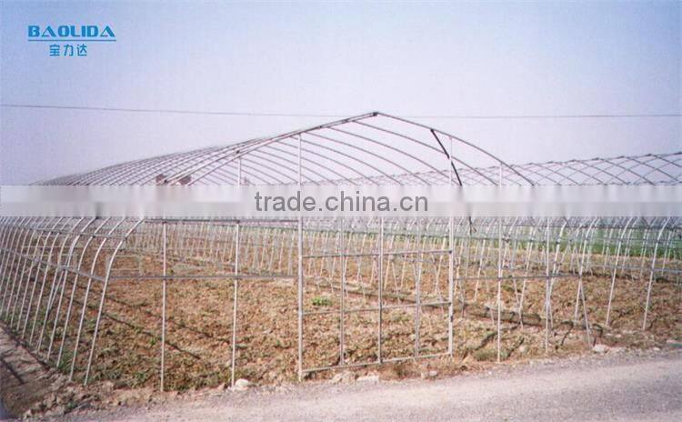 6m/8m/9/ Vegetables Single span Greenhouse