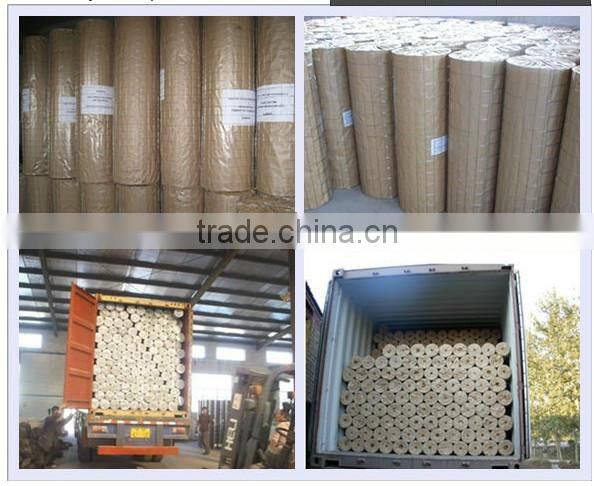 high quality electro galvanized welded wire mesh(ISO9001) from china anping sanxing factory(professional manufacturer)