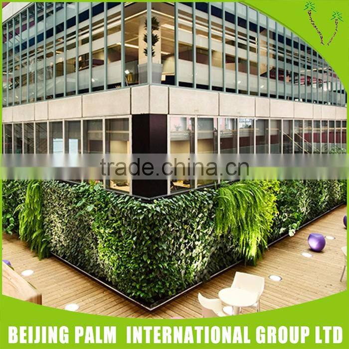 Indoor Various Artificial Garden Wall Covering Cheap Used Office Wall Partitions Artificial Plant