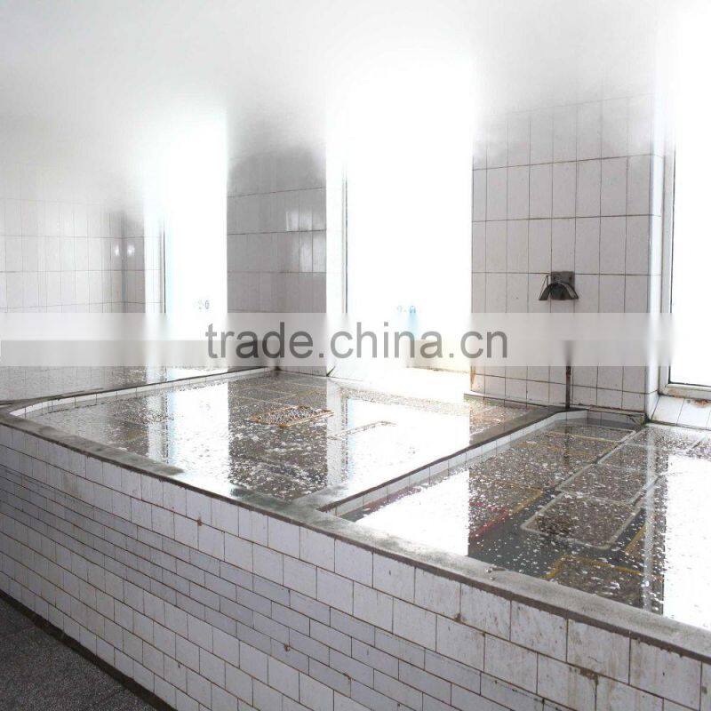 CLAM WITHOUT SAND IMPURTIES SHELL FOR SALE IN VACCUM