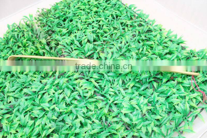 Fashion bamboo back scratcher