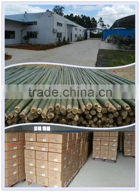 Bamboo Sticks For Flower And Nursery Standing Support