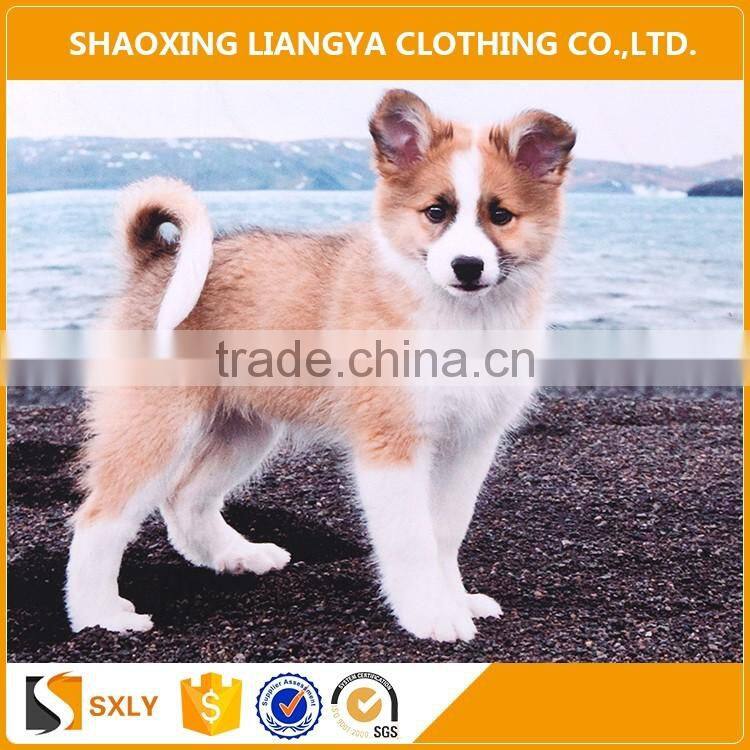 Super soft wholesale digital printing fleece blanket, furniture removal blanket