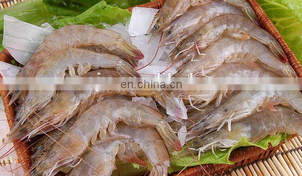 Fish flour production line/ Fish meal making machine/fishmeal production line plant in Myanmar