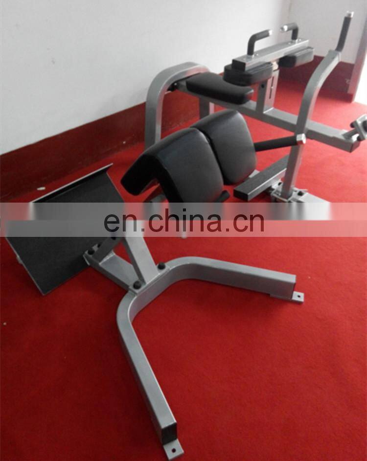 Commercial gym machines Back Extension SP34