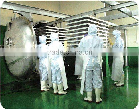 industrial freeze dry machines with high intelligence