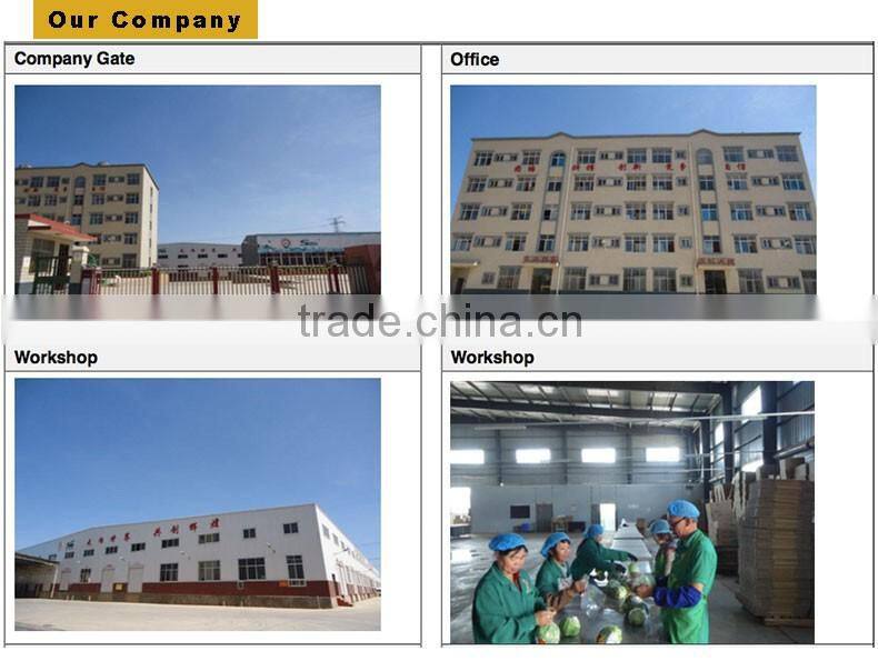 Fresh Broccoli_ Good Quality frozen broccoli spears