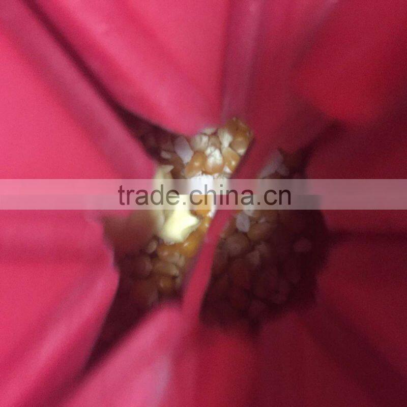 avon supplier foldable Microwave Silicone Popcorn Maker SGS,FDA,LFGB certified Popcorn Bowl